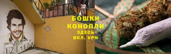 ГАЛЛЮЦИНОГЕННЫЕ ГРИБЫ Бугульма