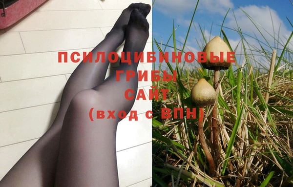 сатива Бронницы