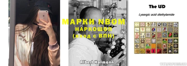 ГАЛЛЮЦИНОГЕННЫЕ ГРИБЫ Бугульма