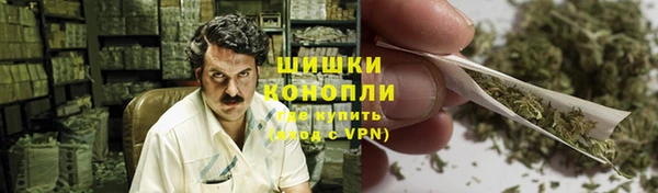 дживик Богородск