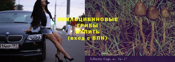 сатива Бронницы