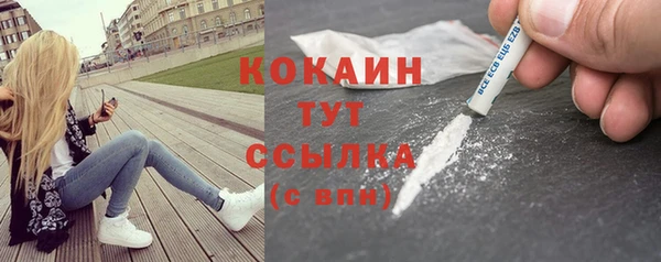 сатива Бронницы