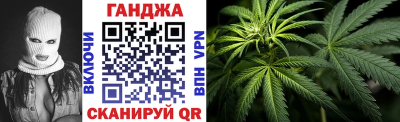 Купить закладки  Новотроицк  Бошки Шишки SATIVA & INDICA 